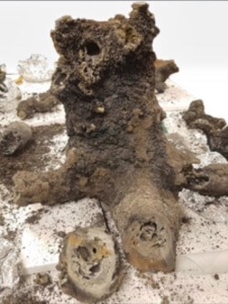 The main piece of fulgurite used in the study. (Credit: Benjamin Hess)