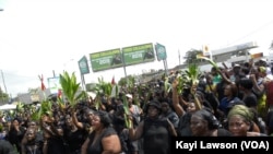 Une vue de la manifestation du 29 novembre 2013 à Lomé