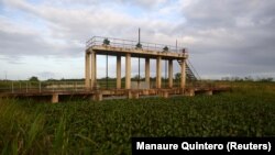 Floating plants are seen in an irrigation channel in Tucupita, Venezuela November 28, 2018.