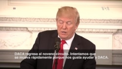 Trump: "Todos queremos ayudar a DACA"