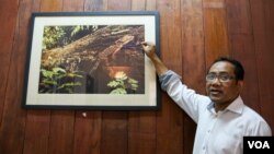 Tuy Sereivathana, country director of Fauna and Flora International Cambodia, describes a new gecko species found in Cardamon Mountain, at his office, in Phnom Penh, on April 22, 2016. (Nov Povleakhena/VOA Khmer)