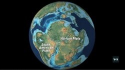 Монозаврів з Анголи привезли до Вашингтона. Відео