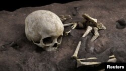 The remains of a child roughly age 3 who lived about 78,000 years ago and was found in a burial pit at a cave site in Kenya called Panga ya Saidi. (Jorge Gonzalez/Elena Santos/Handout via REUTERS)