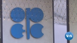 Analysts: OPEC Meeting in Vienna to Result in Less Production