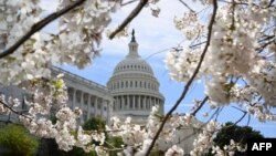 აშშ-ის კონგრესი ვაშინგტონში. 18 მარტი, 2024 წ. 