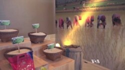 'World’s Best Rice' Title Could Boost Cambodian Rice Exports