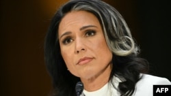 تولسی گاببارد