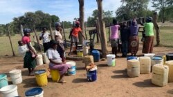 Votelani Mina, Kutsho Oncintisa Kukhetho Lwamakhansila eBulilima uMakhadi Moyo