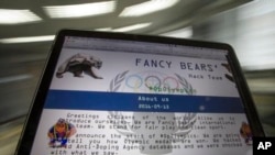 Russia Fancy Bears