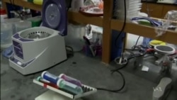 การทดลองวัคซีนอีโบล่าอาจเริ่มรู้ผลในต้นปีหน้า