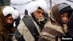 Qurolini topshirgan o'nlab afg'on toliblari hukumat bilan murosa haqida gaplashmoqda.