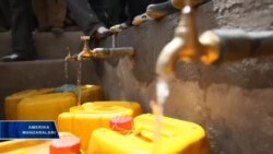 Hech kim suvga zor bo'lmasin