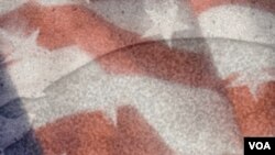 Los cerditos fueron alimentados desde su nacimiento con cáscaras y granos que se ya se utilizaron para producir cerveza.