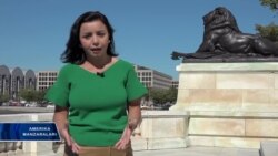 Blumberg kelajakni qanday ko'radi?