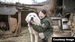 國際人道協會韓國辦事處《終結狗肉交易運動》經理金娜拉（Nara Kim）(照片提供:金娜拉)