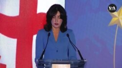 ბოჭორიშვილი: "საქართველოს მიმართ მიზანმიმართული, ხშირად უსაფუძვლო და უსამართლო კრიტიკაა" 