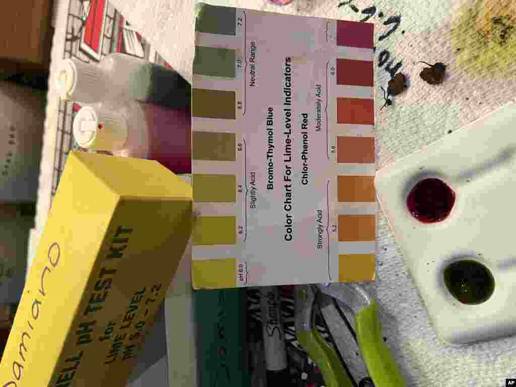 Gardening - Spring Checklist