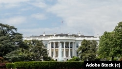 کاخ سفید - آرشیو