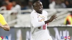 VOA Sports du 14 novembre 2017 : le Sénégal en route pour la Coupe du monde 2018