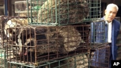 រូបឯកសារ៖ បុរសចិនម្នាក់ឈរមើលសត្វសំពោចដែលជាប់ក្នុងទ្រុង នៅផ្សារលក់សត្វព្រៃមួយកន្លែងនៅខេត្តក្វាតុង ប្រទេសចិន កាលពីថ្ងៃទី៥ ខែមករា ឆ្នាំ២០០៤។