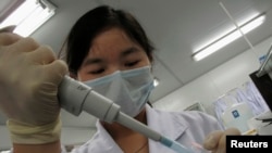 一名研究人員在位於中國深圳的北京基因組研究所「DNA實驗室」將樣本放入容器中。 (2010年3月3日)