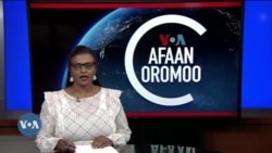 Tamsaasa Guyaadhaa Guyyaa