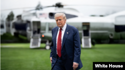 دونالد ترامپ،‌ رئیس جمهوری آمریکا