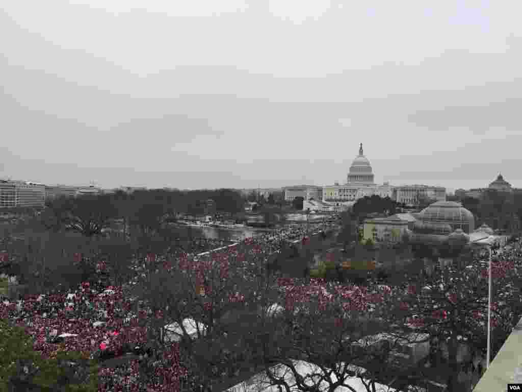 Marcha das Mulheres em Washington DC por direitos iguais. Jan 21, 2017