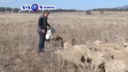 VOA60 Duniya: Firai Minista Malcolm Turnbull Ya Bada Umurnin A Ba Manoma Tallafin Dala Miliyan 140