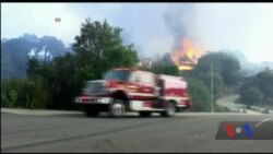 Лісові пожежі у Каліфорнії спустошують славнозвісні виноробні регіони