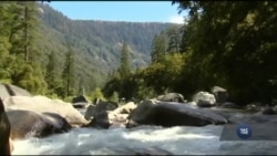 Барак Обама заохочує американські родини мандрувати разом. Відео