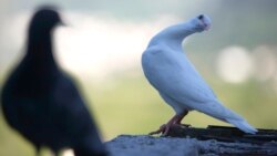 Jahić: Pričajući svoju priču sam našla mir