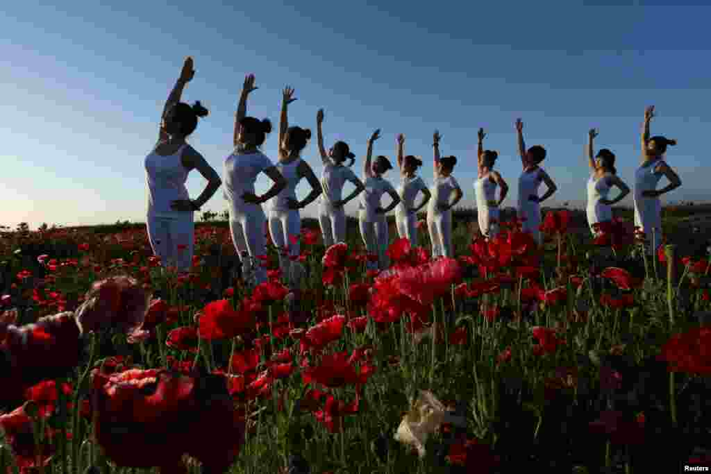 Yoga enthusiasts practice amid flowers in a park in Zhangye, Gansu Province, China.