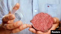 Professor Mark Post holds the world's first lab-grown beef burger during a launch event in west London, Aug. 5, 2013. 