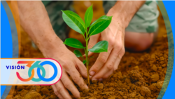 Visión 360: Una ayuda al planeta