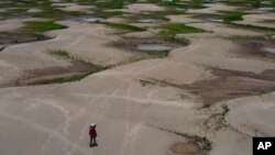 ARCHIVO - Un residente de una comunidad ribereña lleva alimentos y contenedores con agua potable luego de que fueron distribuidos debido a una sequía en Careiro da Varzea, en el estado de Amazonas, Brasil.
