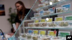 In this Dec. 29, 2017, photo, various kinds of marijuana strains are displayed at the KindPeoples dispensary in Santa Cruz, Calif. 