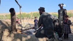 ضعف اقتصادی دهقانان در بدخشان؛ پول خرید کود کیمیاوی را نداریم