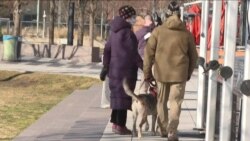 华盛顿居民对特朗普弹劾审判看法不一