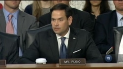 Сенатори вимагали у директорів розвідки США інформацію про наявність втручання президента у розслідування щодо Росії. Відео