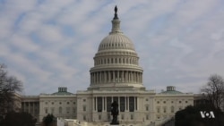 US Senate Rallies Behind John McCain