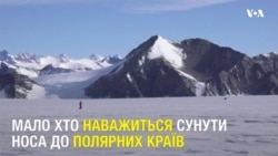 В Антарктиді пробігли 21-кілометровий марафон більше півсотні людей. Відео