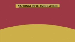 What Is the National Rifle Association?