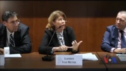 Американські експерти та законодавці коментують закон про реінтеграцію Донбасу: Київ – на правильному шляху. Відео