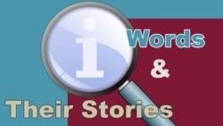 Expressions to Bring Out the Kid in You!