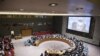 Zasedanje Saveta bezbednosti Ujedninjenih nacija, Foto: UN
