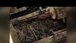 Gruziya laboratoriyalari