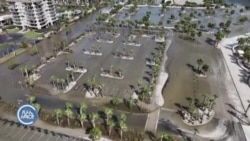 ትንታኔ:- ‘ሄሬኬን ሚልተን’ 