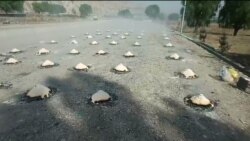 བོད་ནང་ཏོག་དབྱིབས་ནད་པ་སྨན་བཅོས་ཆེད་ལྷ་ས་དང་གཞིས་ཀ་རྩེར་འཕྲལ་སེལ་སྨན་ཁང་གསར་རྒྱག་བྱས་ཡོད་པ།