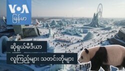 ဆိုရှယ်မီဒီယာ လူကြည့်များ သတင်းတိုများ
